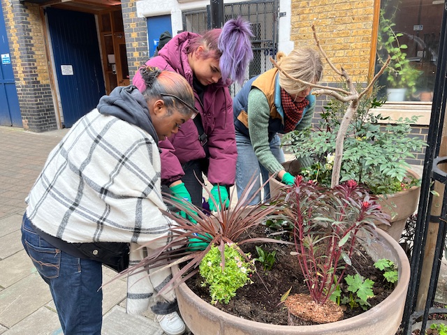 Training unemployed in gardening and planting skills project update image