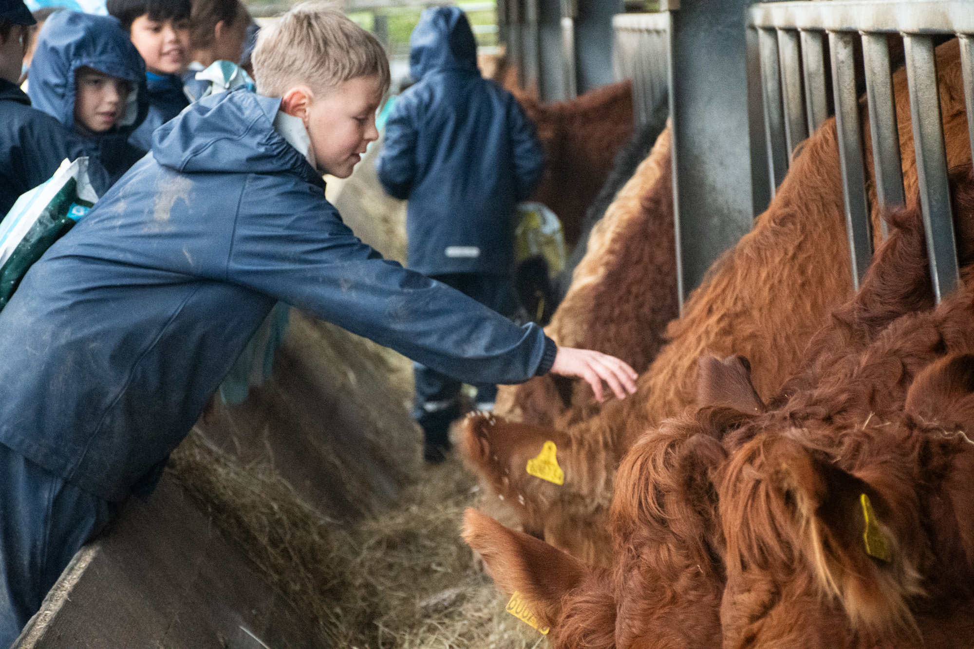 Enriching Young Lives in Bournemouth:  A Transformative Farm Residential project update image
