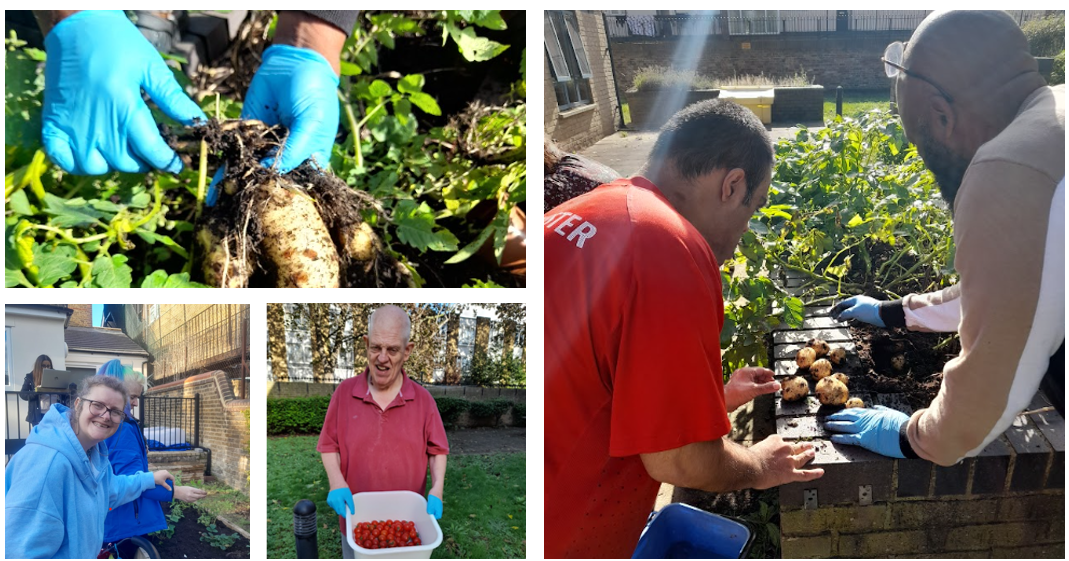 Cultivating Connections project image