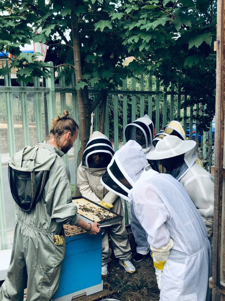 Bees, Biodiversity,food growing & Community building | ActionFunder