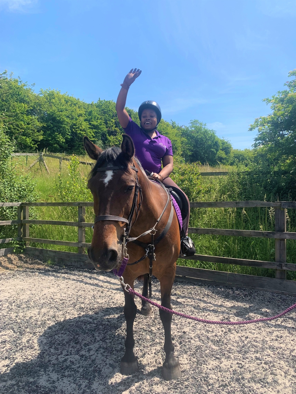 New Specialist Horse Riding Tack | ActionFunder
